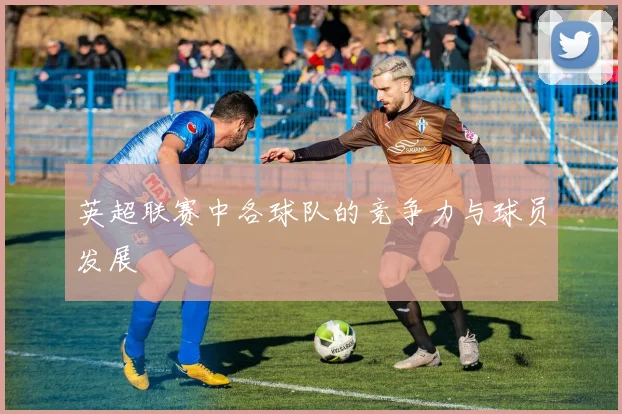 英超联赛中各球队的竞争力与球员发展