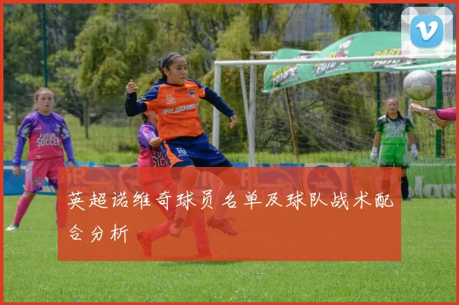 英超诺维奇球员名单及球队战术配合分析