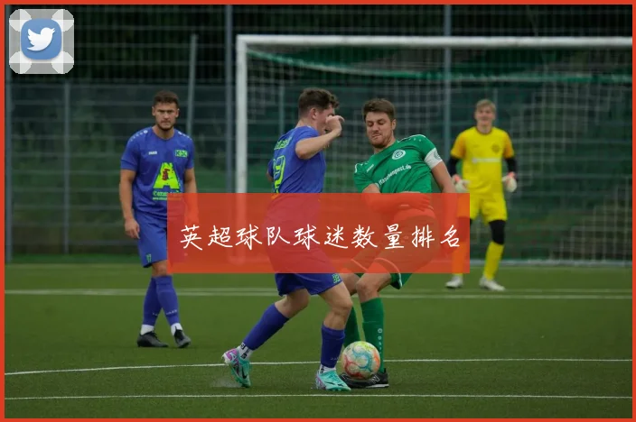英超球队球迷数量排名